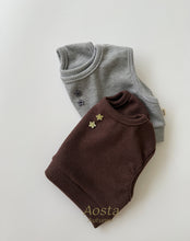 Load image into Gallery viewer, AOSTA FALL STAR CANDY VEST**PREORDER