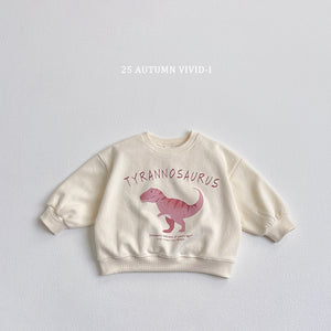VIVID KIDS DINO SWEATER*PREORDER