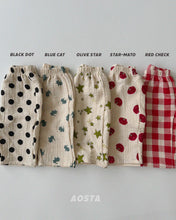 Load image into Gallery viewer, AOSTA FALL SIGNATURE PANTS**PREORDER