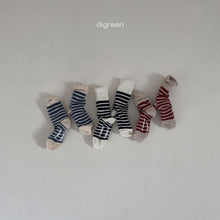 Load image into Gallery viewer, DIGREEN Wally socks set of 3* Preorder